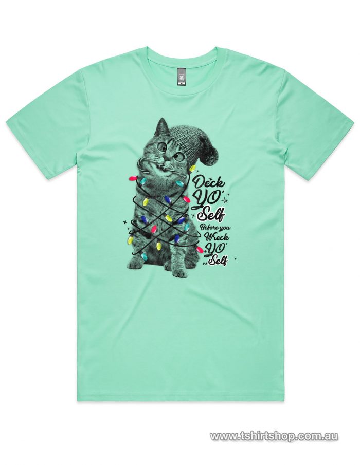 Cute kitten with christmas lights on an Aqua shirt