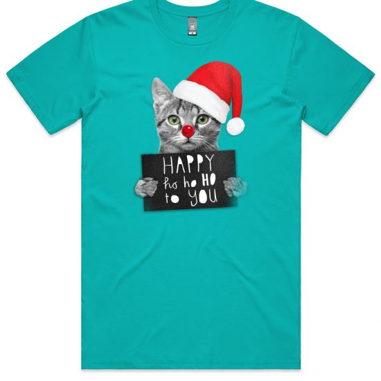 Cute kitten with a santa hat t-shirt in a Teal colour